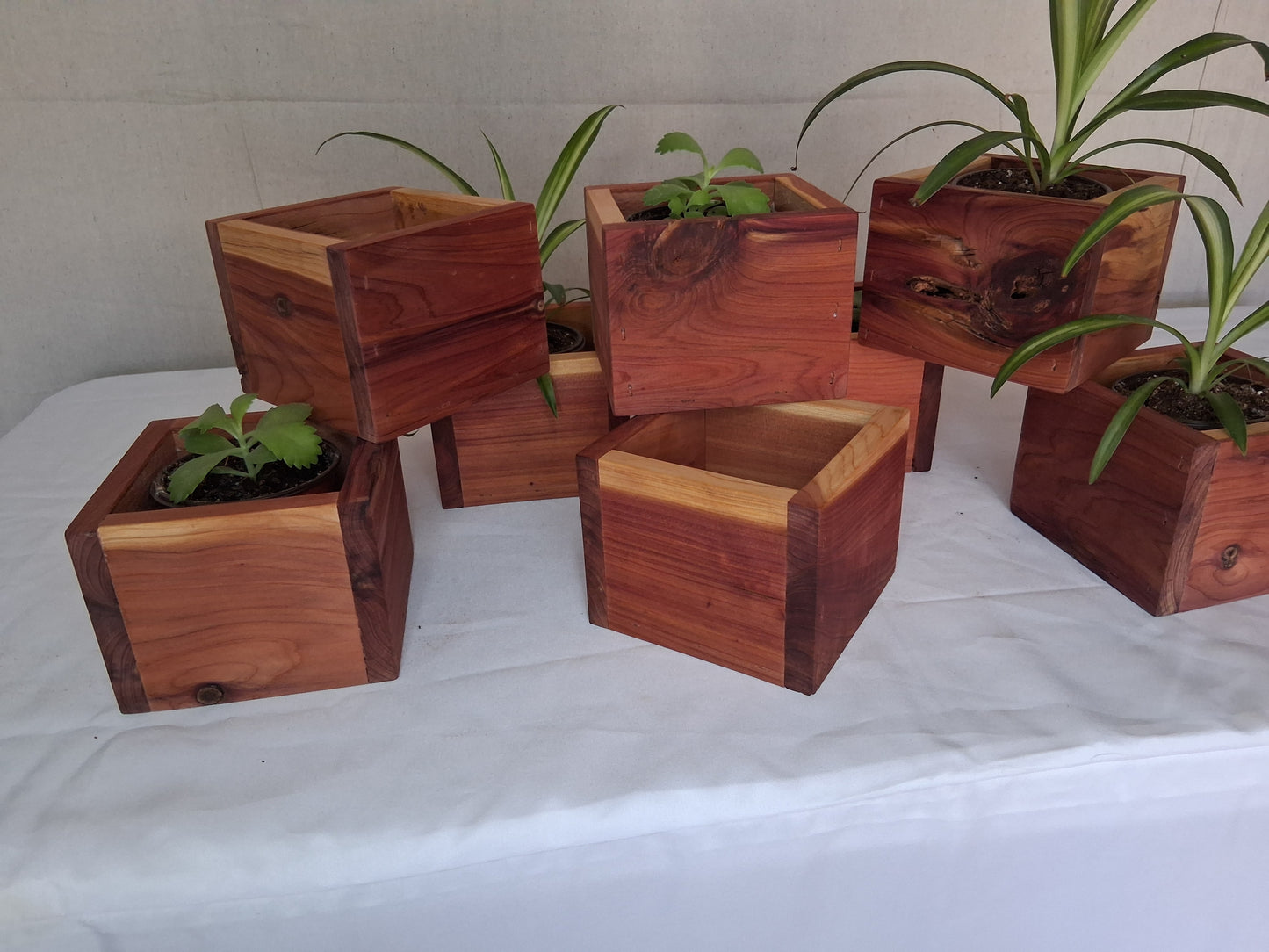 Cedar planter