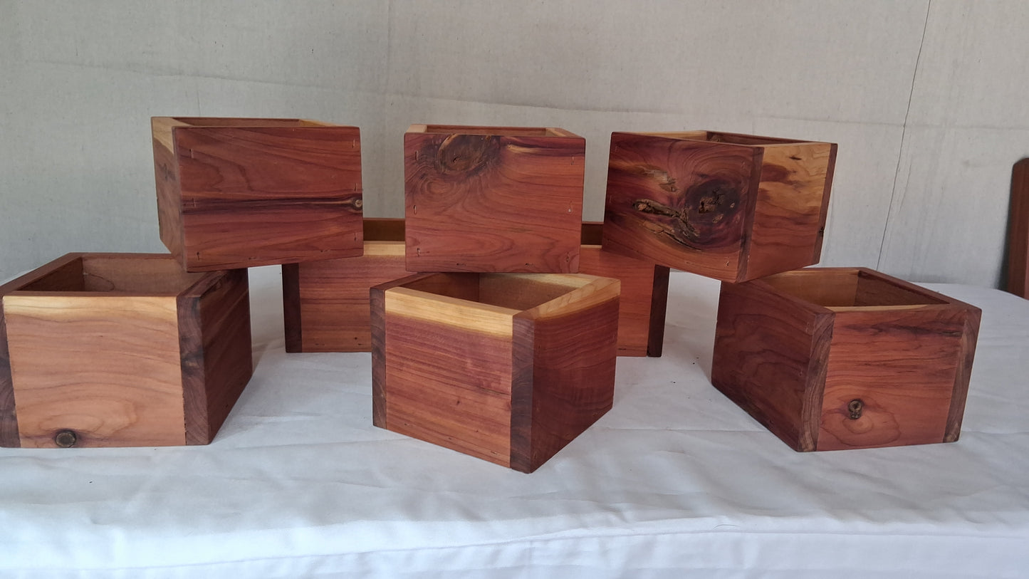 Cedar planter
