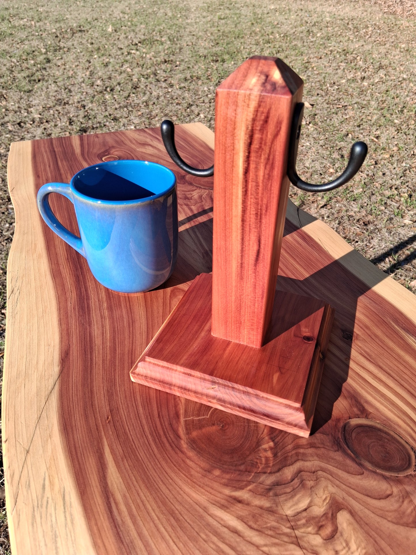 Cedar coffee cup Tree