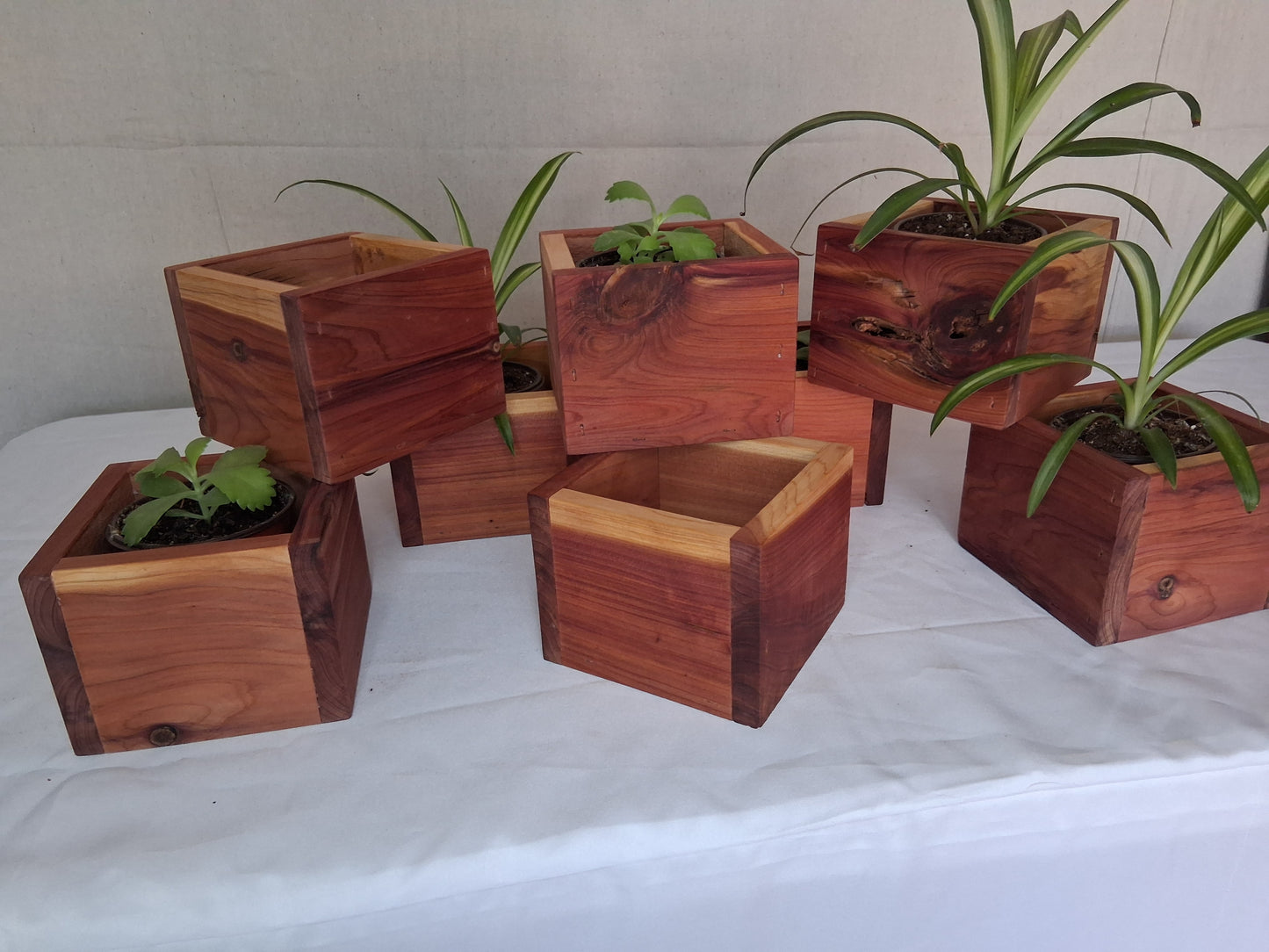 Cedar planter